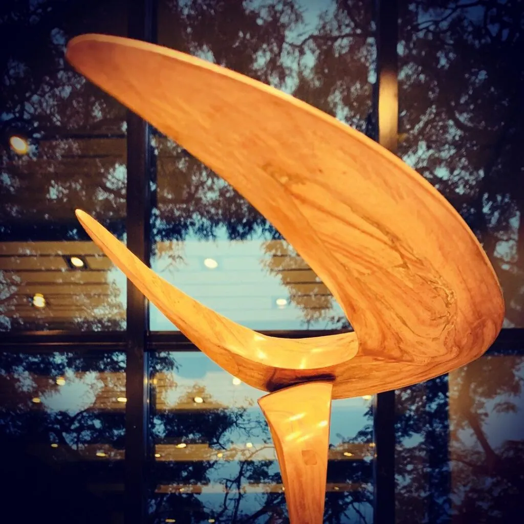 Abstract sculpture of poplar root wood with a metal base, created by the artist sculptor architect Javier Colomino
