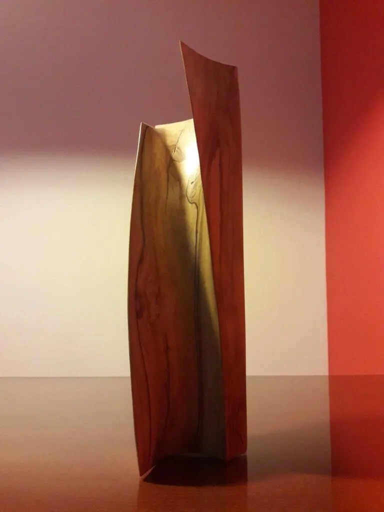 Escultura abstracta en madera de olivo, creada por el artista escultor arquitecto Javier Colomino